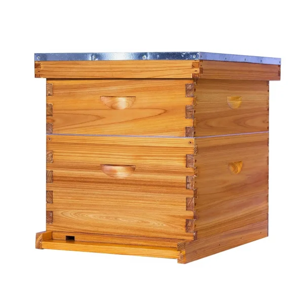 10-Frame Bee Hive Complete Beehive Kit